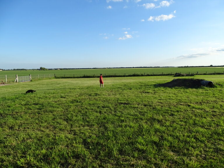 1905 2528ccc786a5fe620302011b5693d61c 1 768x576