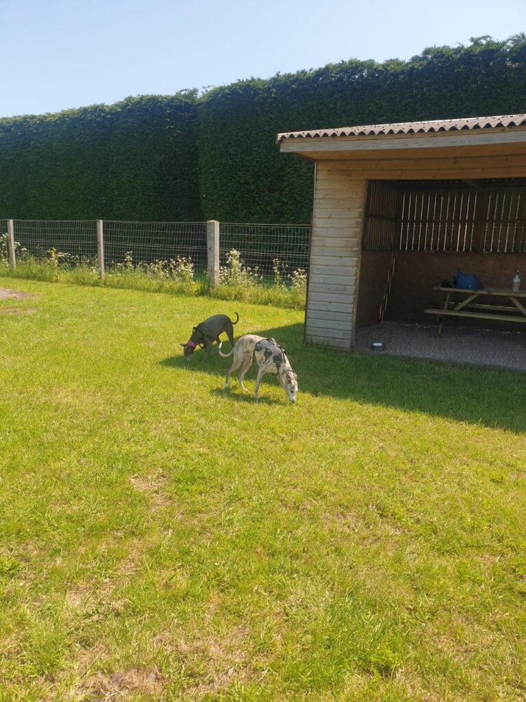 1905 40176842b96b52f992ffd4c765809e9f 1 768x1024