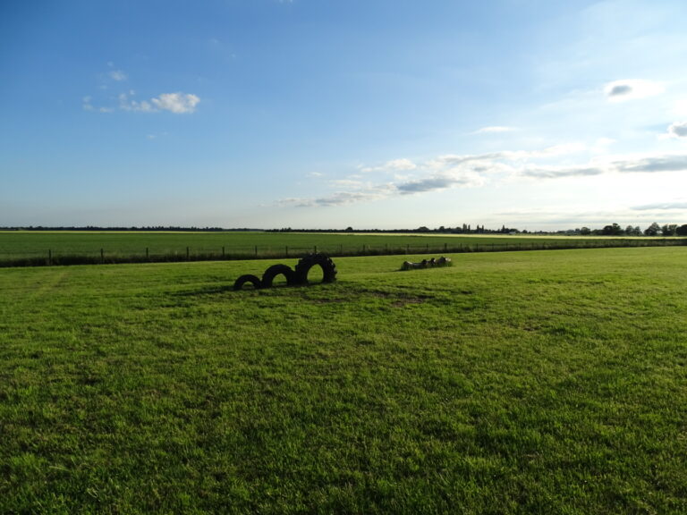 1905 42ba0ecc3cfa1644ac45543cd0fbee89 1 768x576