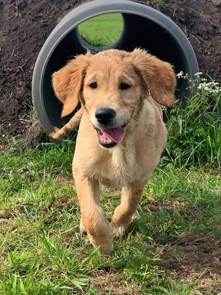 1905 694352b226817042d6d01ee3024e4df0 1 768x1024