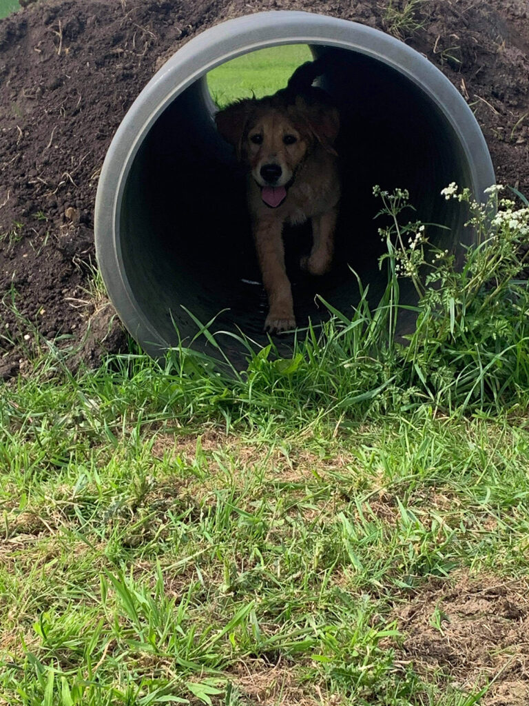 1905 72587dda0b66b8f6e2bd9101aea45183 1 768x1024