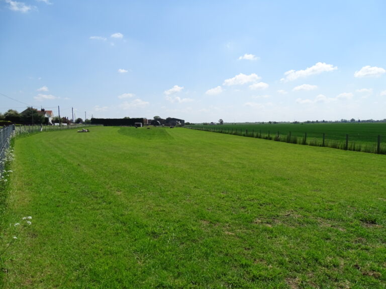 1905 930e310ee6492a5e140644c8eb8137bd 1 768x576