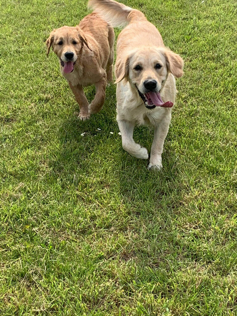 1905 aae7f514e9261dde5b09fdc0948e8acd 1 768x1024