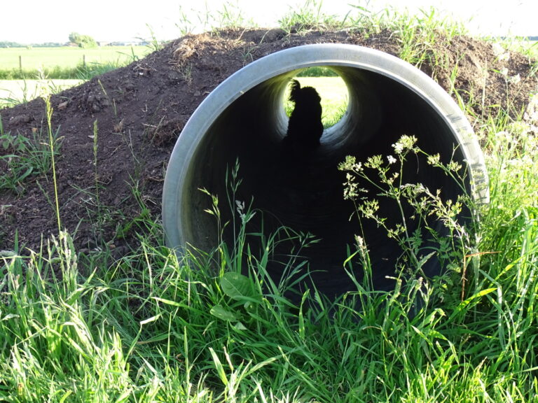 1905 bacf75f424e20179f8782973dccd4ce1 1 768x576