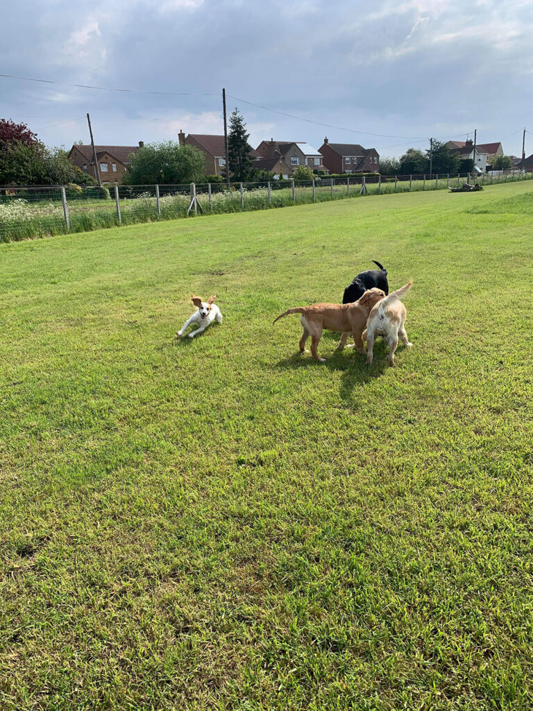 1905 bef9e4a24950c28a3ead2d0576401091 1 768x1024