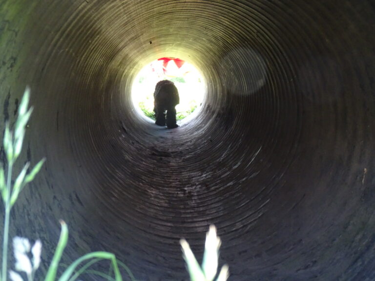 1905 c17371cae13924b8e4c3975f068eeb97 1 768x576