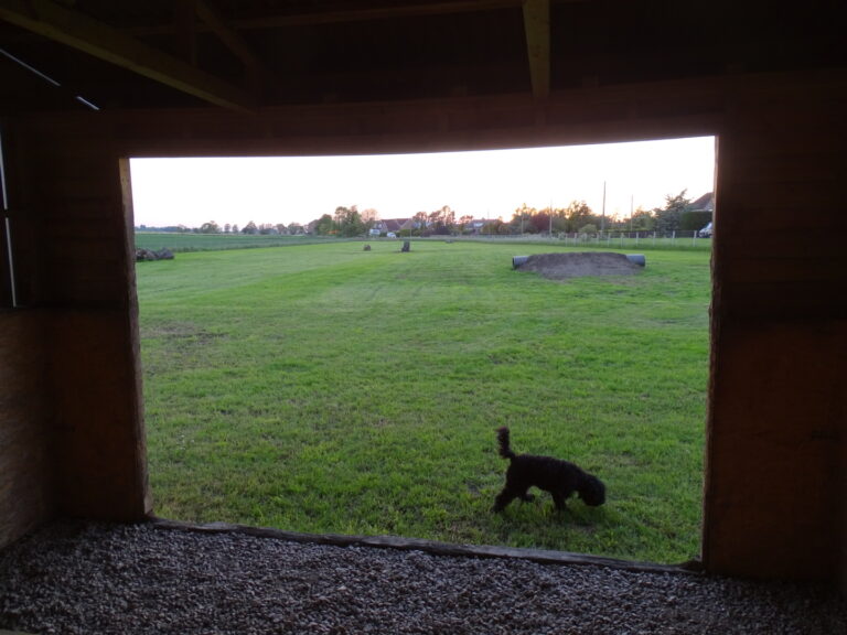 1905 c8a3296b732bf7939f9c7ae40abfd0a7 1 768x576