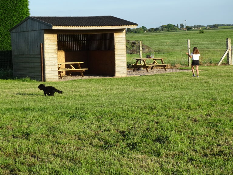 1905 de938451b9f6622e777a7119daeb8e4b 1 768x576