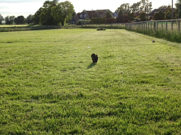 1905 f0e2e6845533213aaf0bf5b2d9bab043 1 768x576