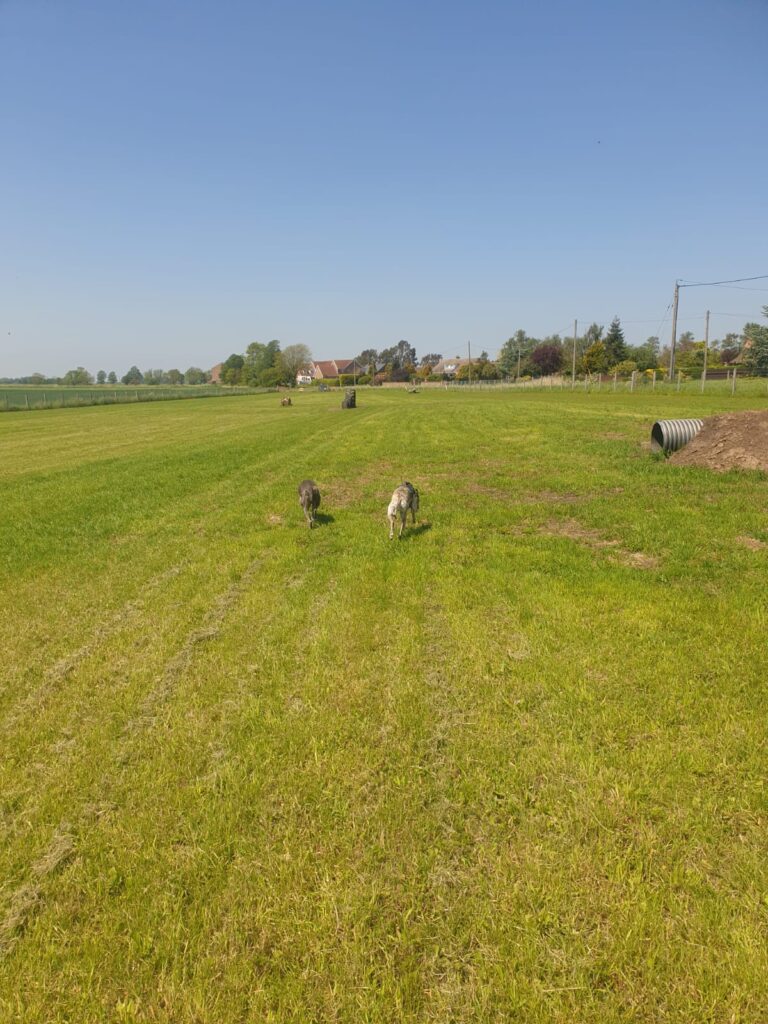 1905 f1d5dae714888932c7d7c00095e37783 1 768x1024