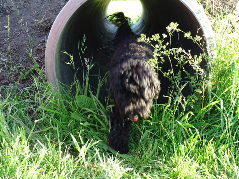 1905 fc85e421c2c72e27c336022a2c88bd77 1 768x576