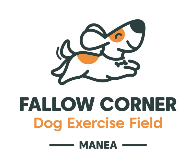 1905 ffd57cfcf58fe36791ed2b91372d14d8 1 768x658