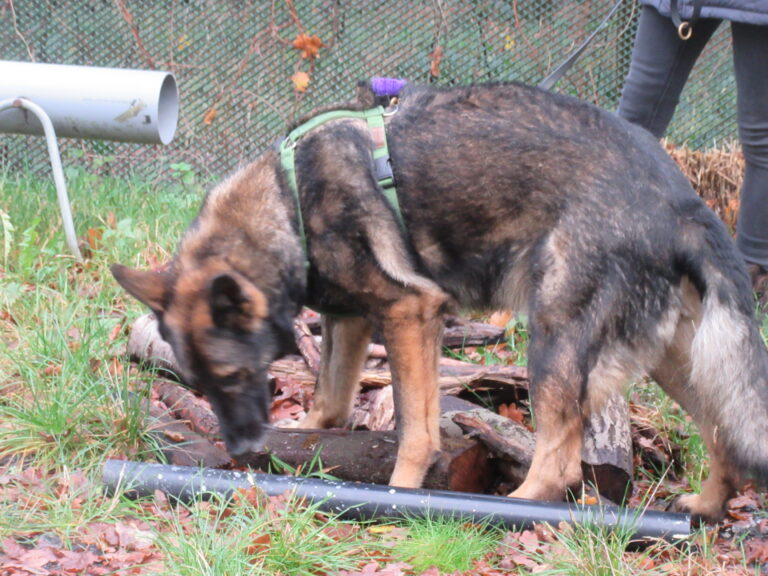 1907 12b7c85da73c224669d45b949483dc2b 1 768x576