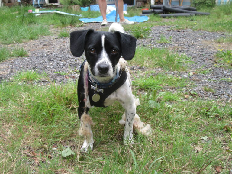 1907 3869e76caf12f1b86bf1cd86ac12cfc2 1 768x576