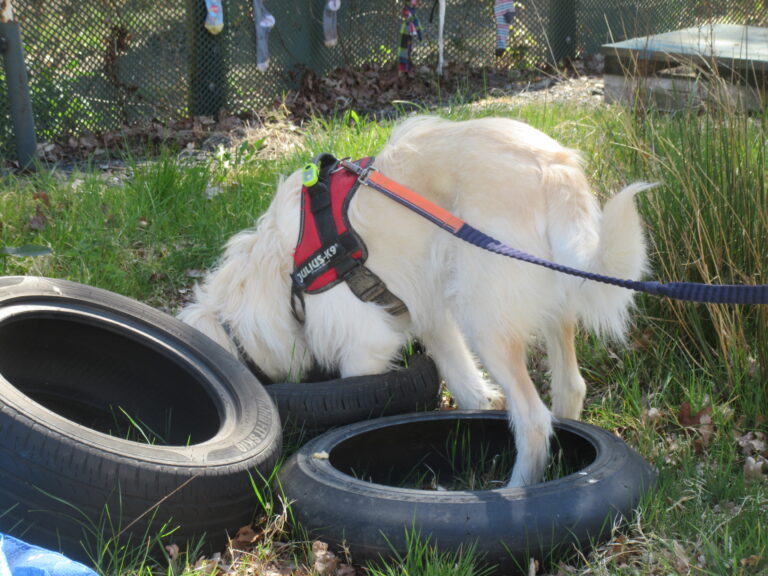 1907 622dfffbce4e57d827da877d490a054e 1 768x576