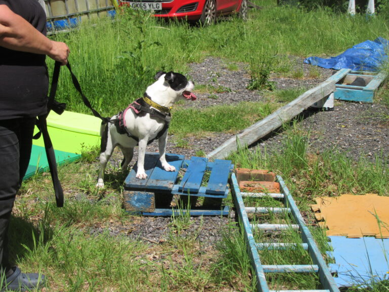 1907 6c0bd94866bec524aca9959f257efcbf 1 768x576