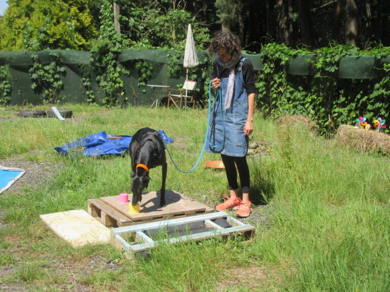 1907 966e0b37a0f46c10810152290f752b16 1 scaled 768x576