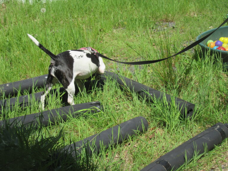 1907 fc83aabd059648dc900765ea282f2669 1 768x576