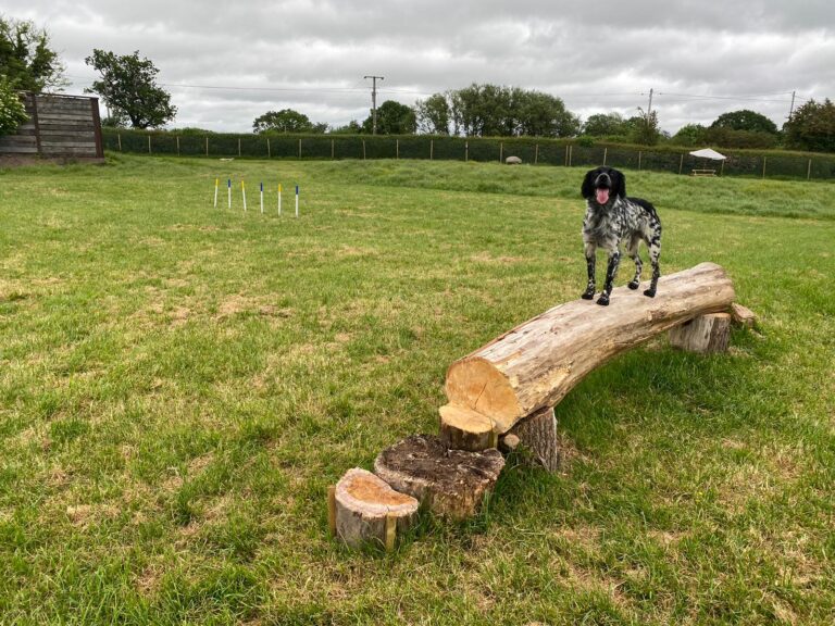 1909 313387e99c12d983dc3994564c7df371 1 768x576