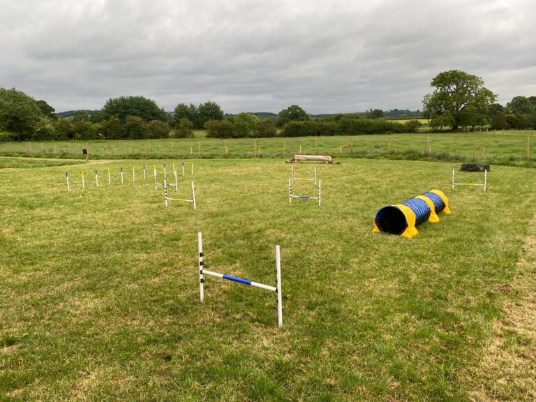 1909 39f2ac1a335d8604b49a496c3aa7263b 1 768x576