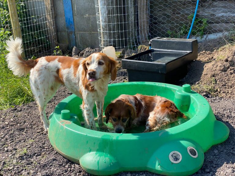 1909 4bf437c6022ef341a8ccf39eed20e0b6 1 768x576