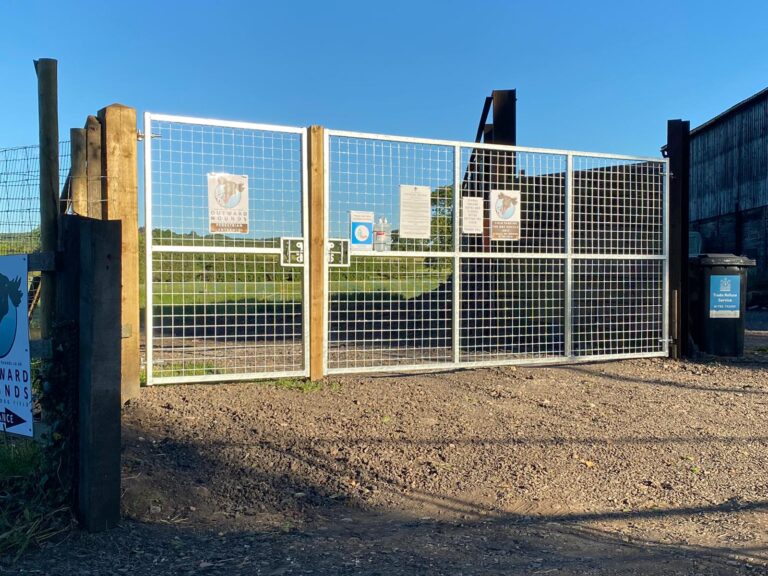 1909 b054e5d2d30852d8993e427c4708a850 1 768x576