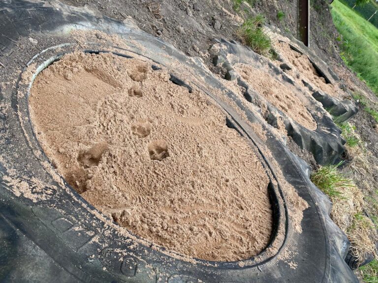 1909 c4e96e8ee60c91b0d10ddd5005ba8e4c 1 768x576