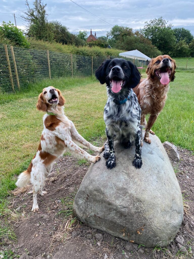 1909 e69fdb7525764091923c525bf18f90d6 1 768x1024