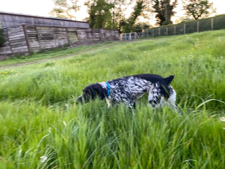 1909 fc6d46b898d18580d53feeaf6a48f347 1 768x576