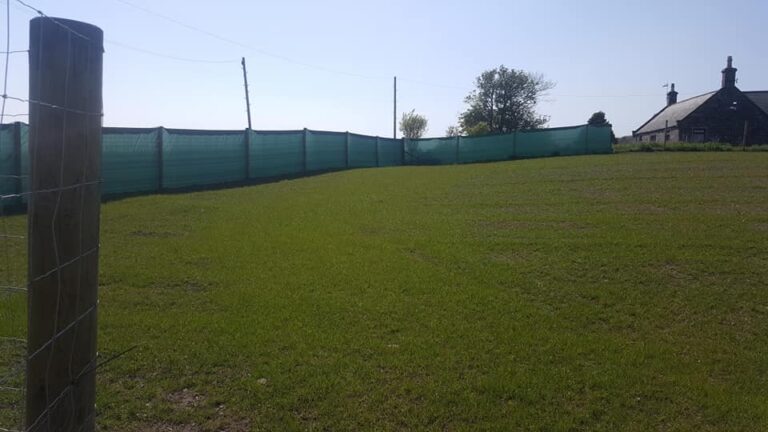 1910 12d6824ad50a1ee17673248aa70b80cf 1 768x432