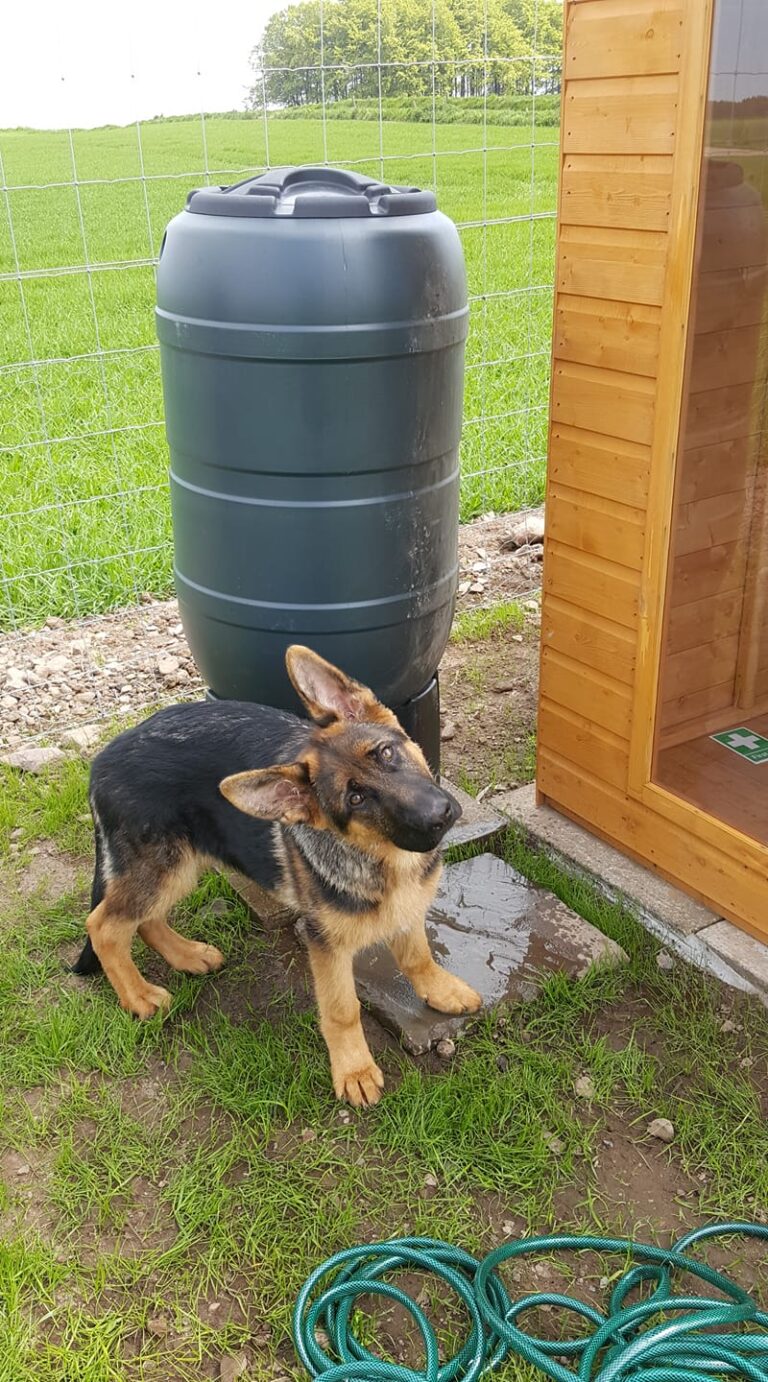 1910 878e3948ee4dad37f6971fdde79fad1a 1 768x1382