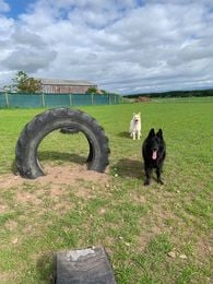 1910 ff8ccd316c37547c1f4cae2e4c427659 1