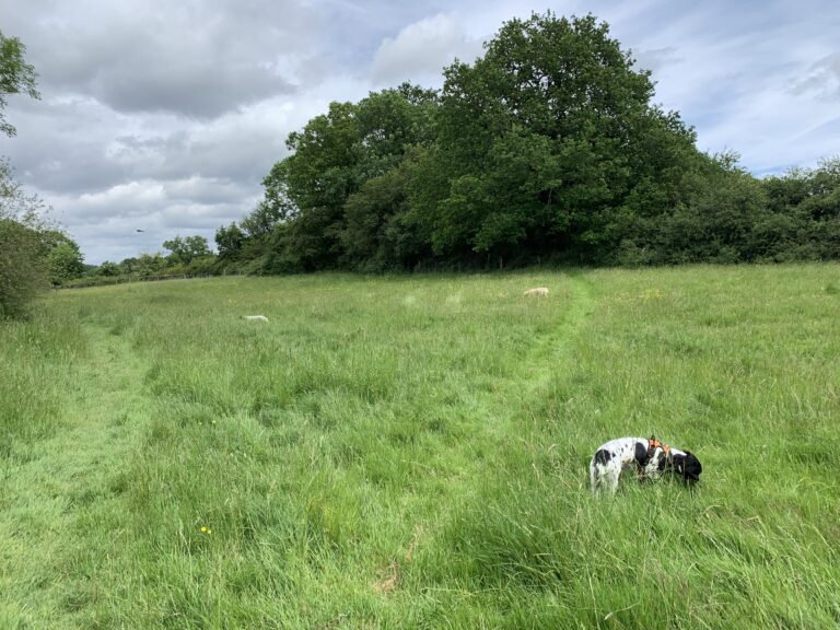 1911 244a166539e6b8b608de30389a4fe7a5 1 768x576