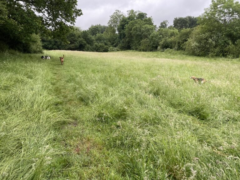 1911 5f061b9a468ef150e10c90e1e4b855ce 1 scaled 768x576