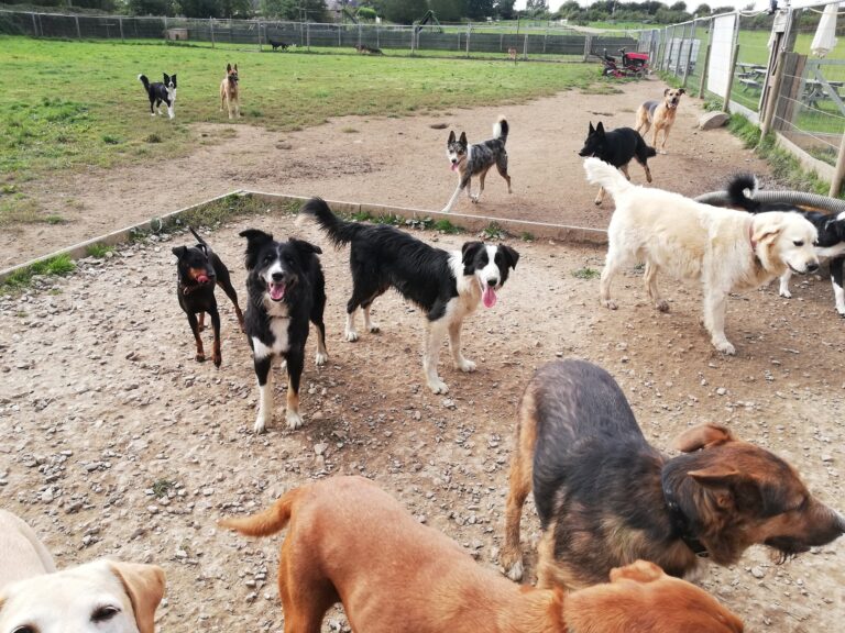 1912 42957d8e789e5bc46bb11be5c567614e 1 768x576