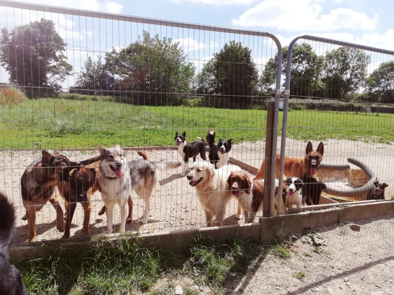 1912 b70ae2def10b6c7c6c412573ebda92aa 1 768x576