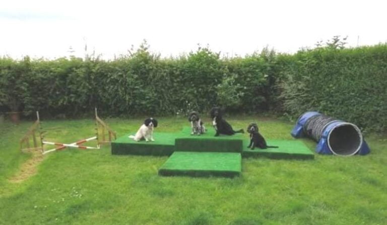 1913 62b8229e19f078be4db4b8e4fcd26459 1 768x448