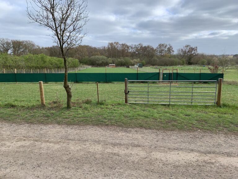 1914 04d36806161e2d7952c99cc828a85ad5 1 768x576