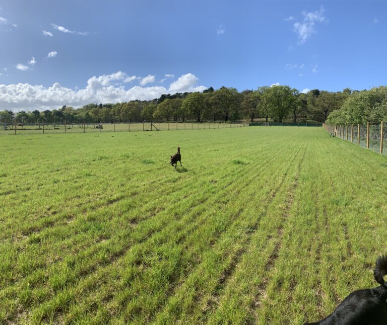 1914 8b115bbca33b7cc54fa591059d3c0bff 1 768x646