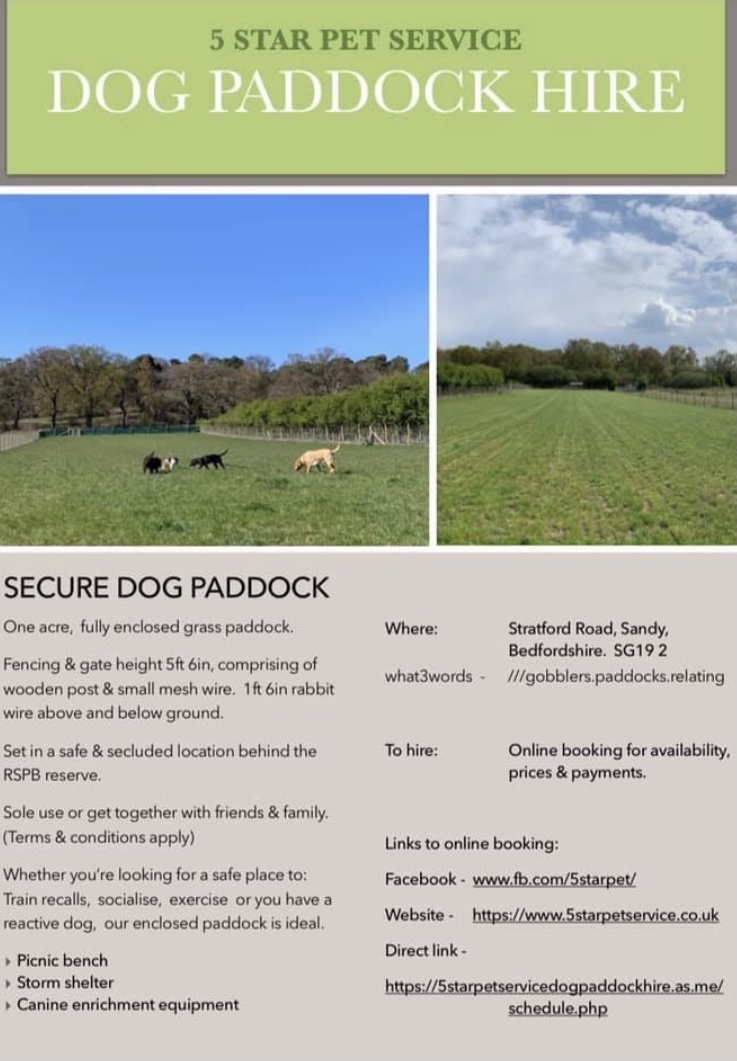 1914 bf0656208cb1cc3f1b33d126bedb8804 1