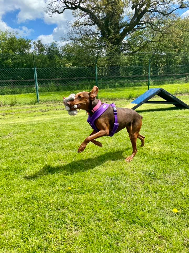 1915 6c67016f1646373e7f4f2172a57e4d62 1