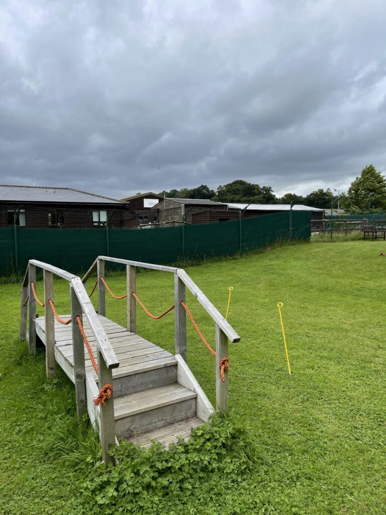 1915 d60104e698c09e6dfaa4771dbd0b3b1e 1 768x1024