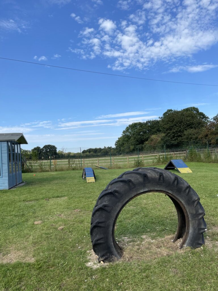 1915 dc5e10f10b18fa247d83cf35edc1a4ec 1 768x1024