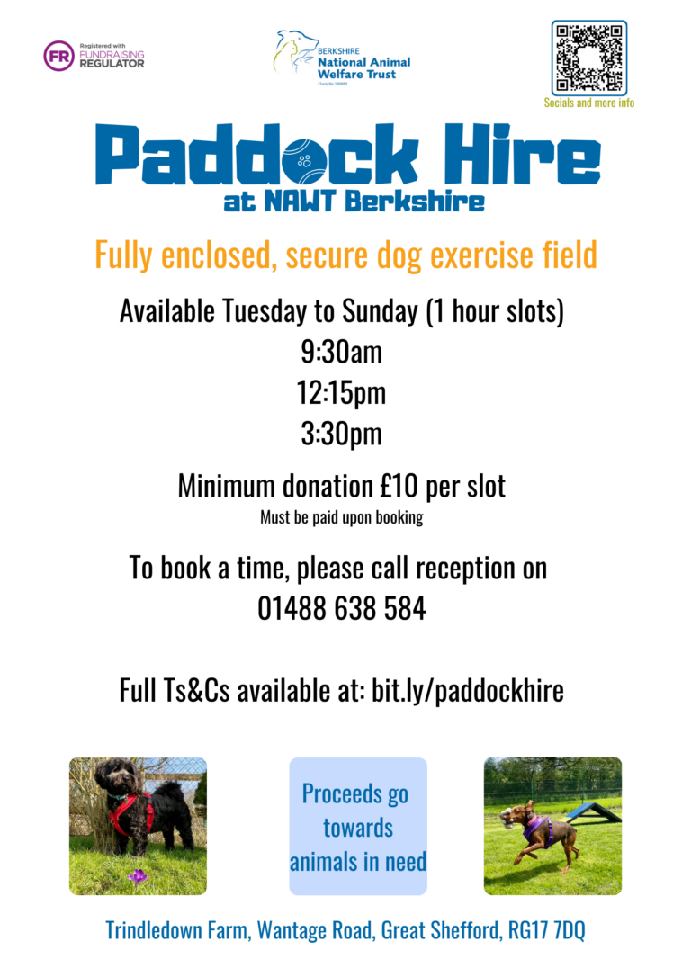 1915 eb9cfe4c73792194047f94e48e378968 1 768x1086