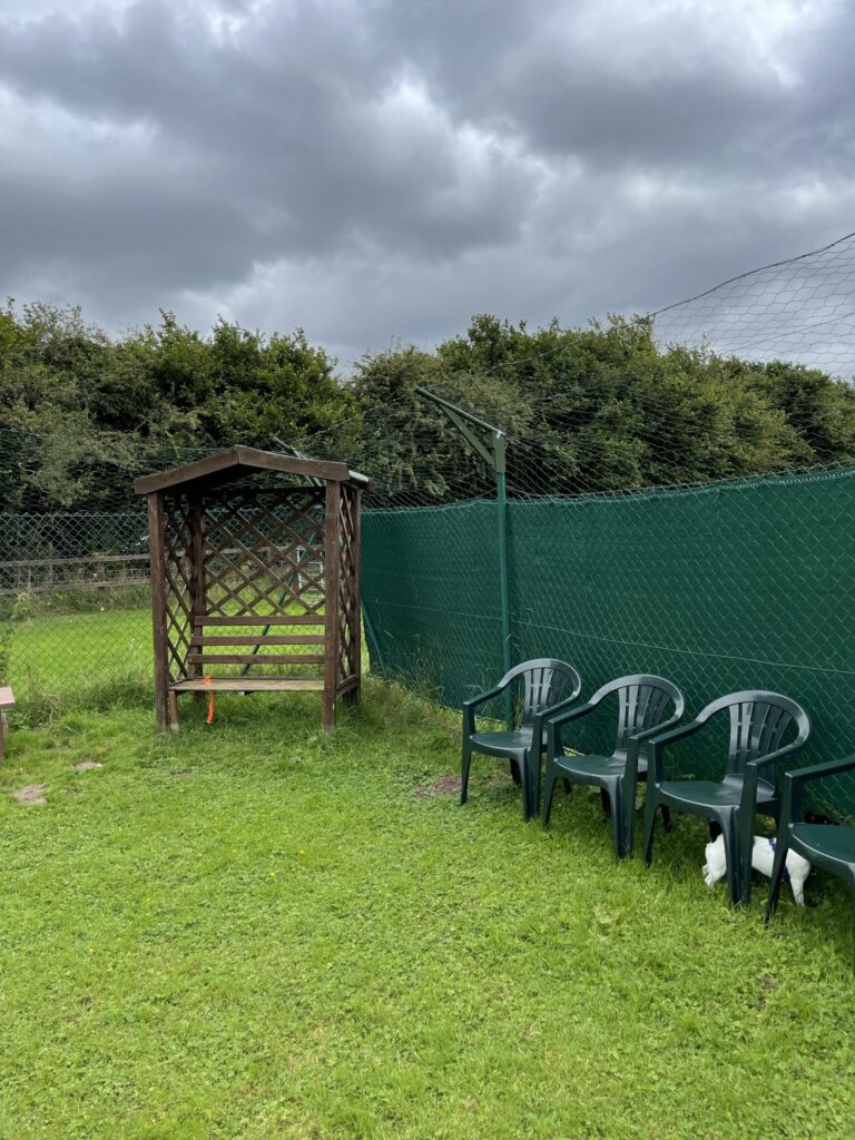 1915 ec3ae61b30a3d49dc7c605dbc0959405 1 768x1024