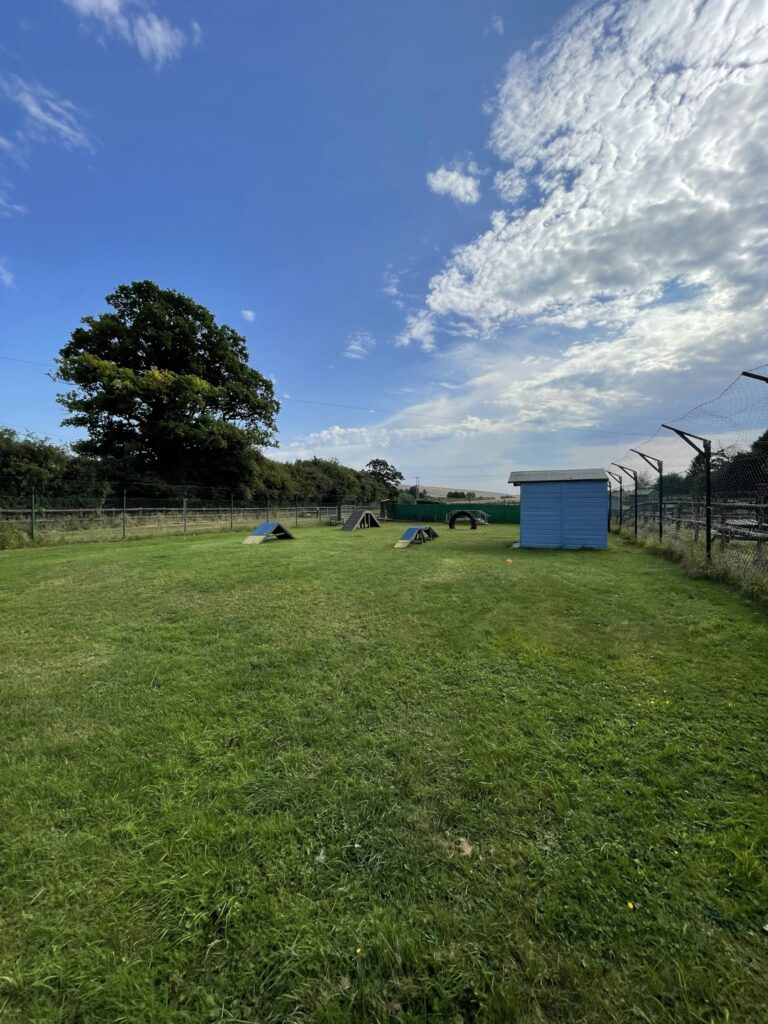 1915 fd23fa9bcf4b6541da94e40dddd1315c 1 768x1024