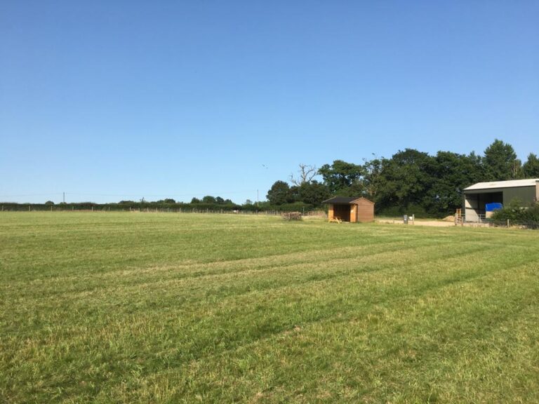 1916 11afc5e8387e4ad8fc3b1395448a41e5 1 768x576