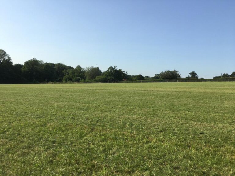 1916 4c7adca79c657f72f097f9430d0198b4 1 768x576