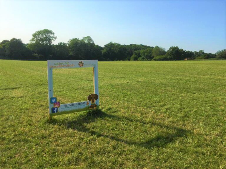 1916 5d3393ebc20f5310dbc9dc8ab58333e7 1 768x576