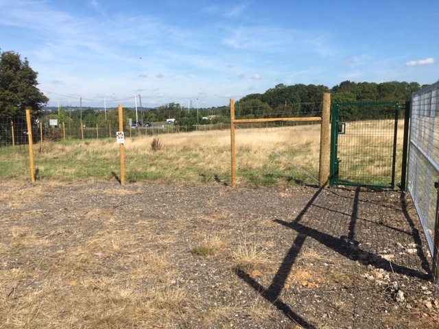 1917 00f6b383981ccd7de760132546d4e1b5 1